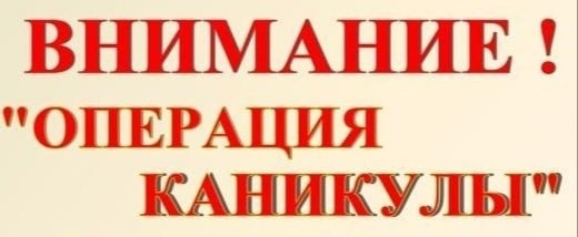 hAP8ZIe2LZo.jpg